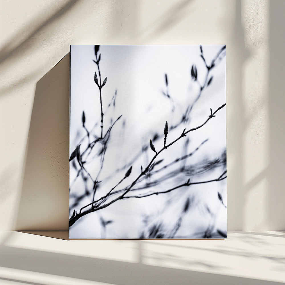 Winter Branches 2 | Canvas