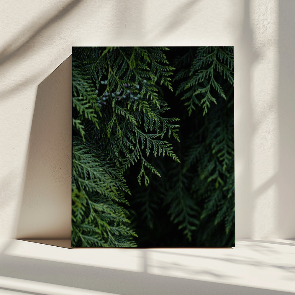 Winter Branches 3 | Canvas