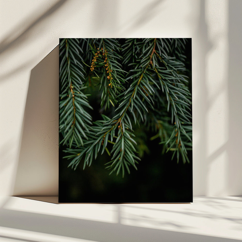 Winter Branches 7 | Canvas