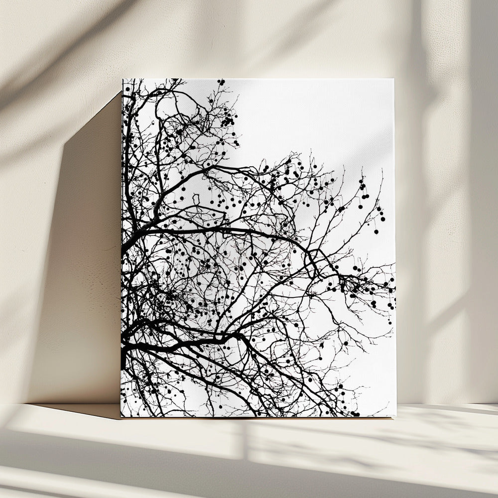 Winter Silhouettes 5 | Canvas