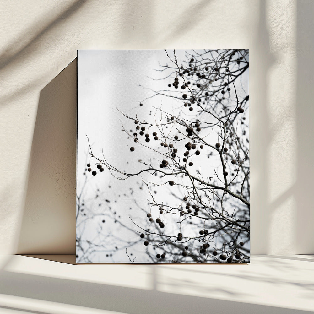 Winter Silhouettes 6 | Canvas