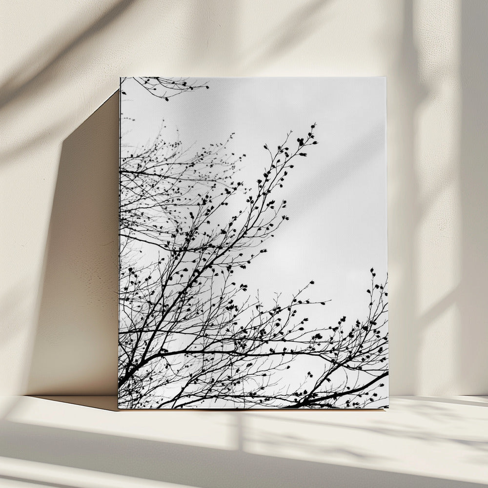 Winter Silhouettes 7 | Canvas