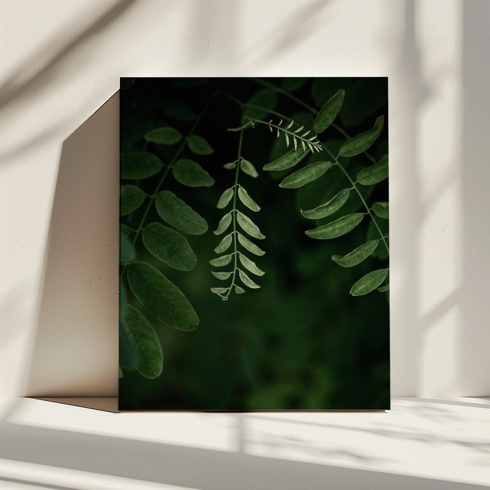 Dark Leaves 17 | Canvas