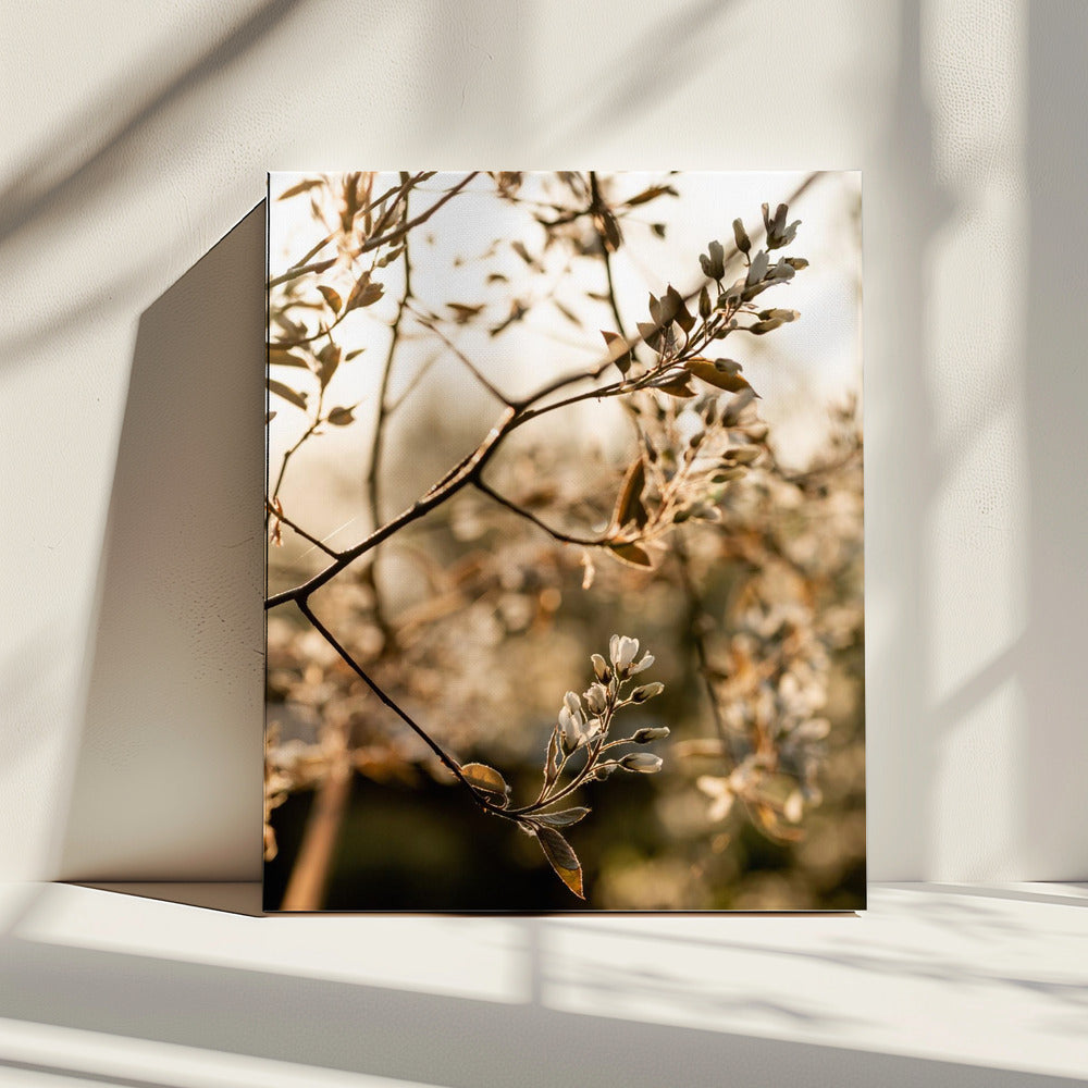 Last Spring 4 | Canvas