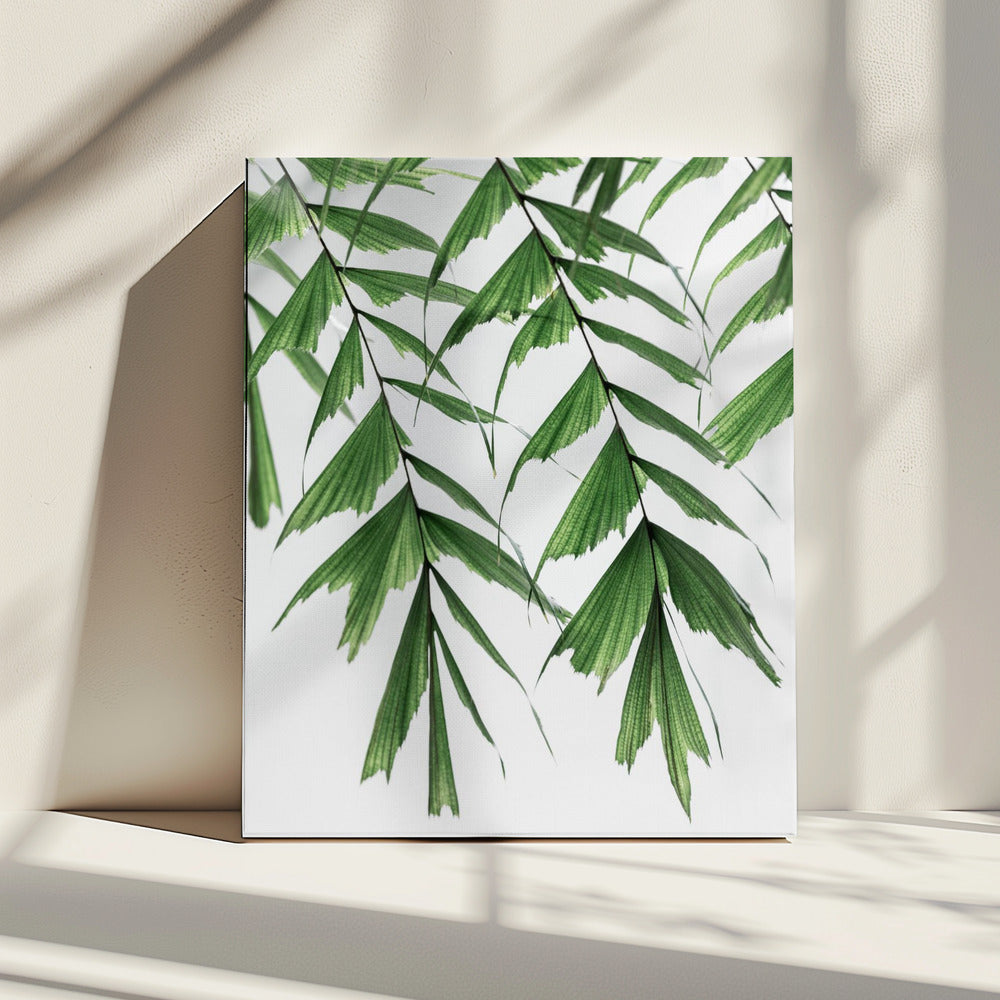 Summer Branches 3 | Canvas