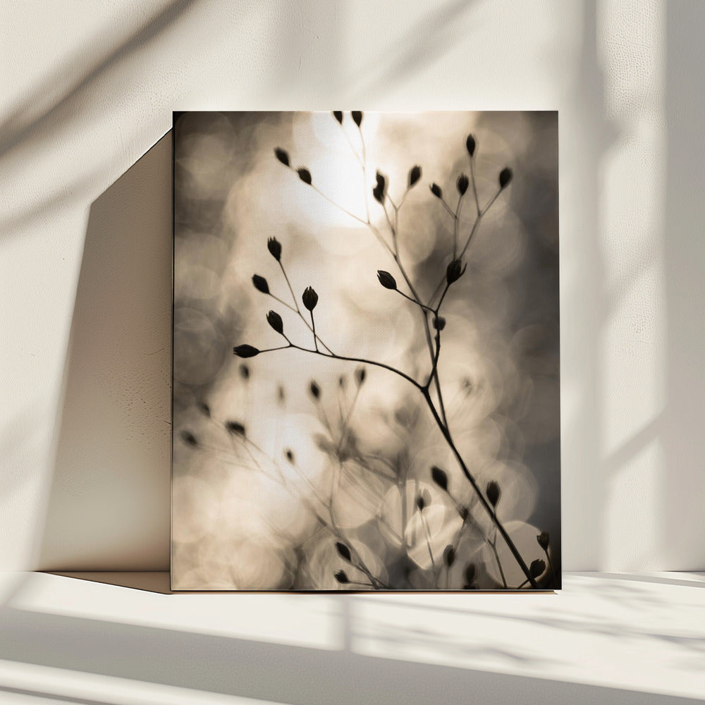 Sun Silhouettes 1 | Canvas