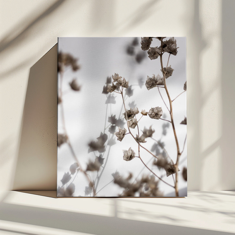 Last Summer 31 | Canvas