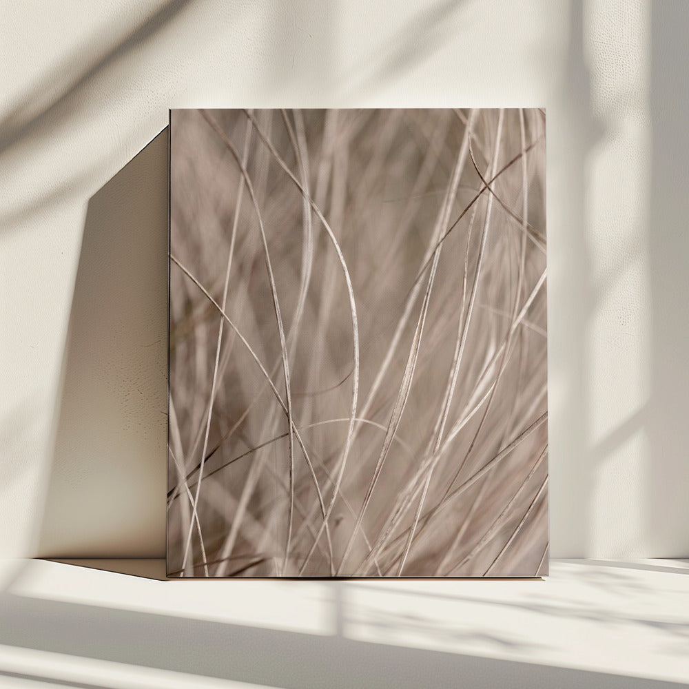 Summer Grass 3 | Canvas