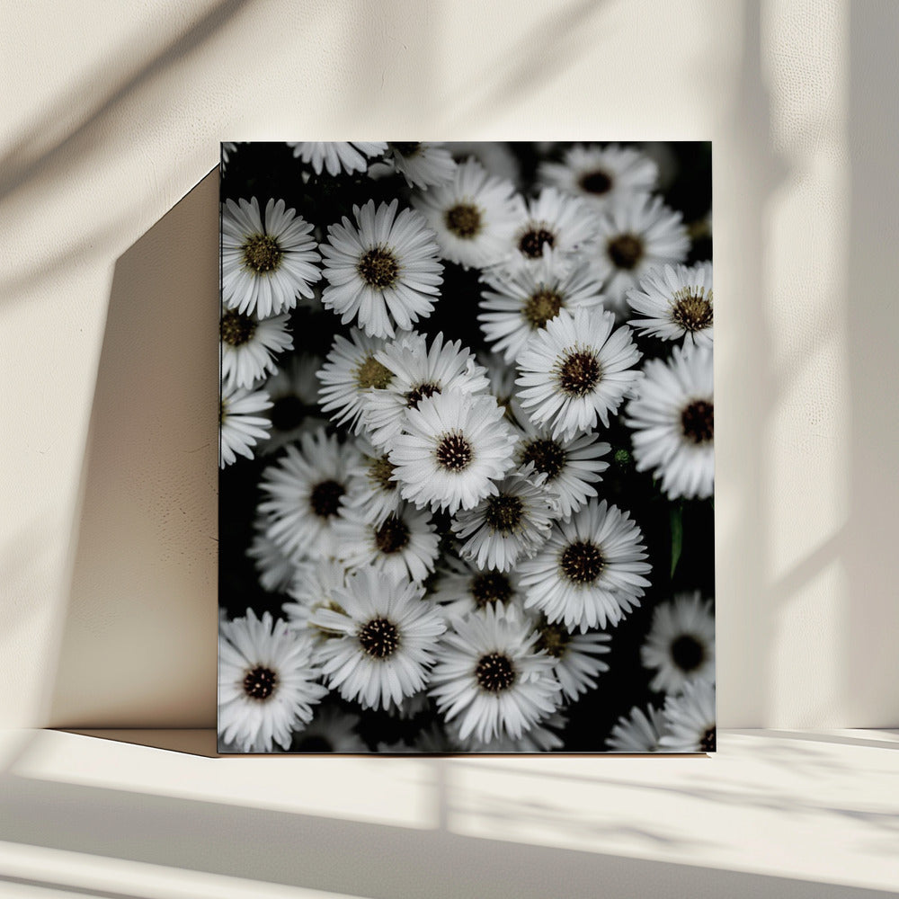 Tiny Flowers 3 | Canvas