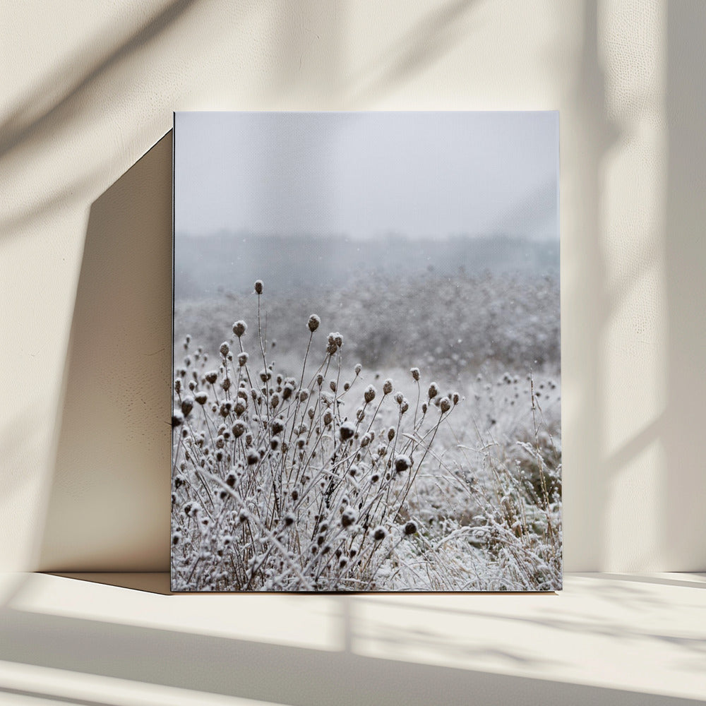 Winter Field 4 | Canvas