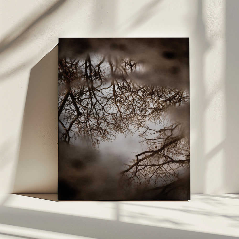 Winter Reflections | Canvas