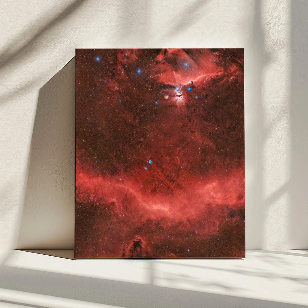 Orion's Belt | Canvas