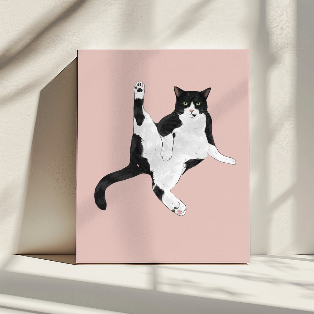 Cat In A Funny Pose | Canvas