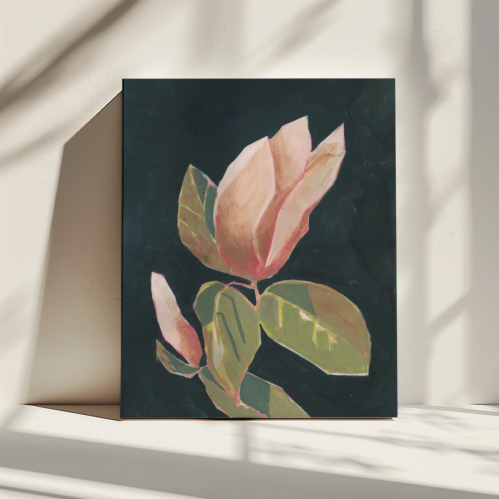 Magnolia in dark background | Canvas