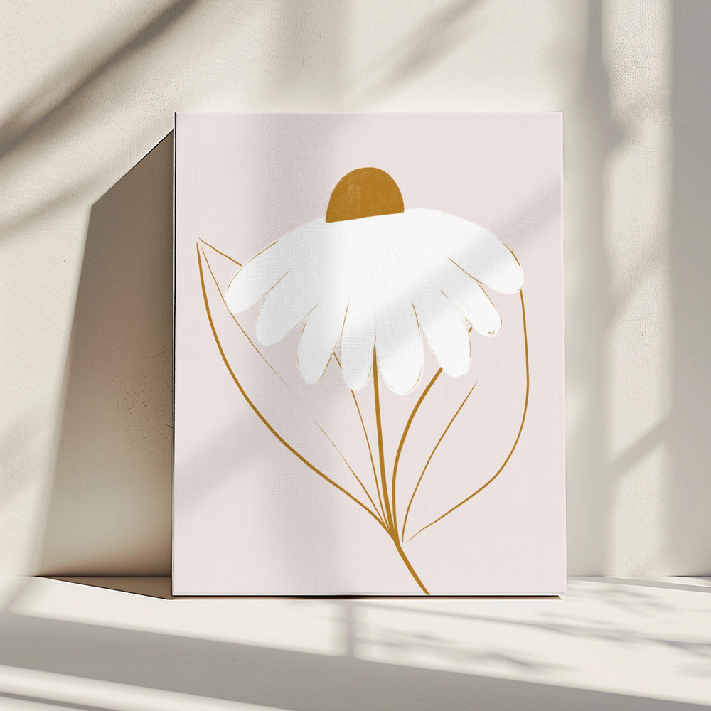 White Daisy | Canvas