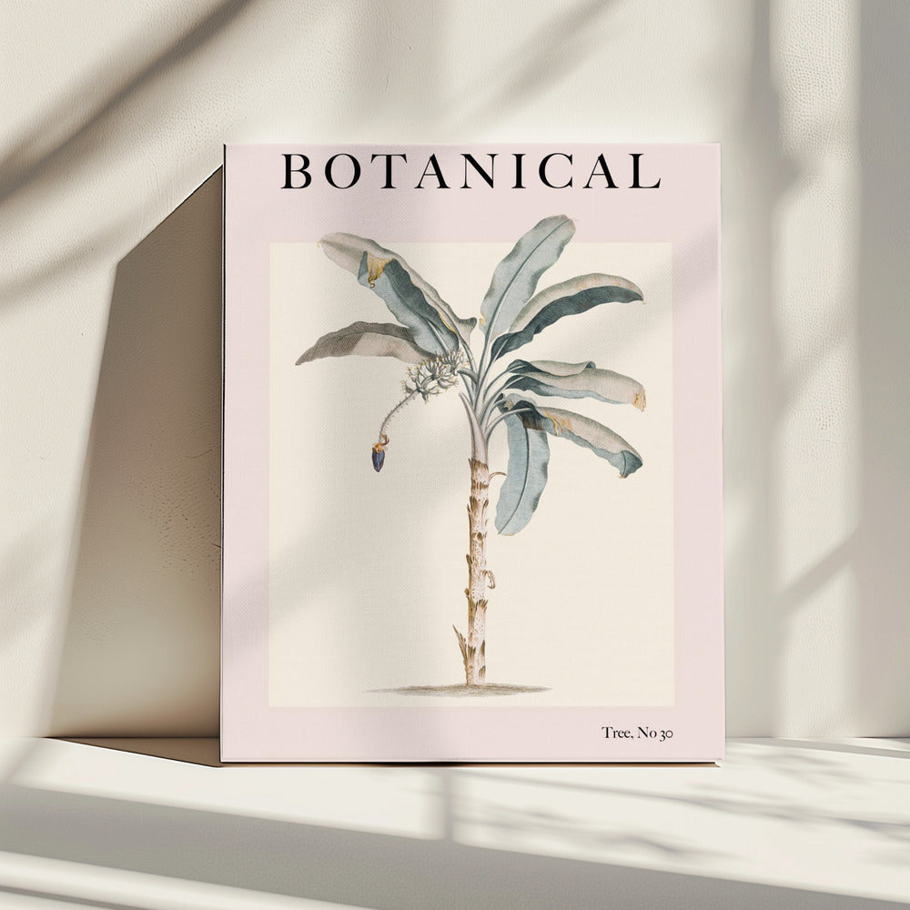 Botanicalno30 Ratioiso | Canvas