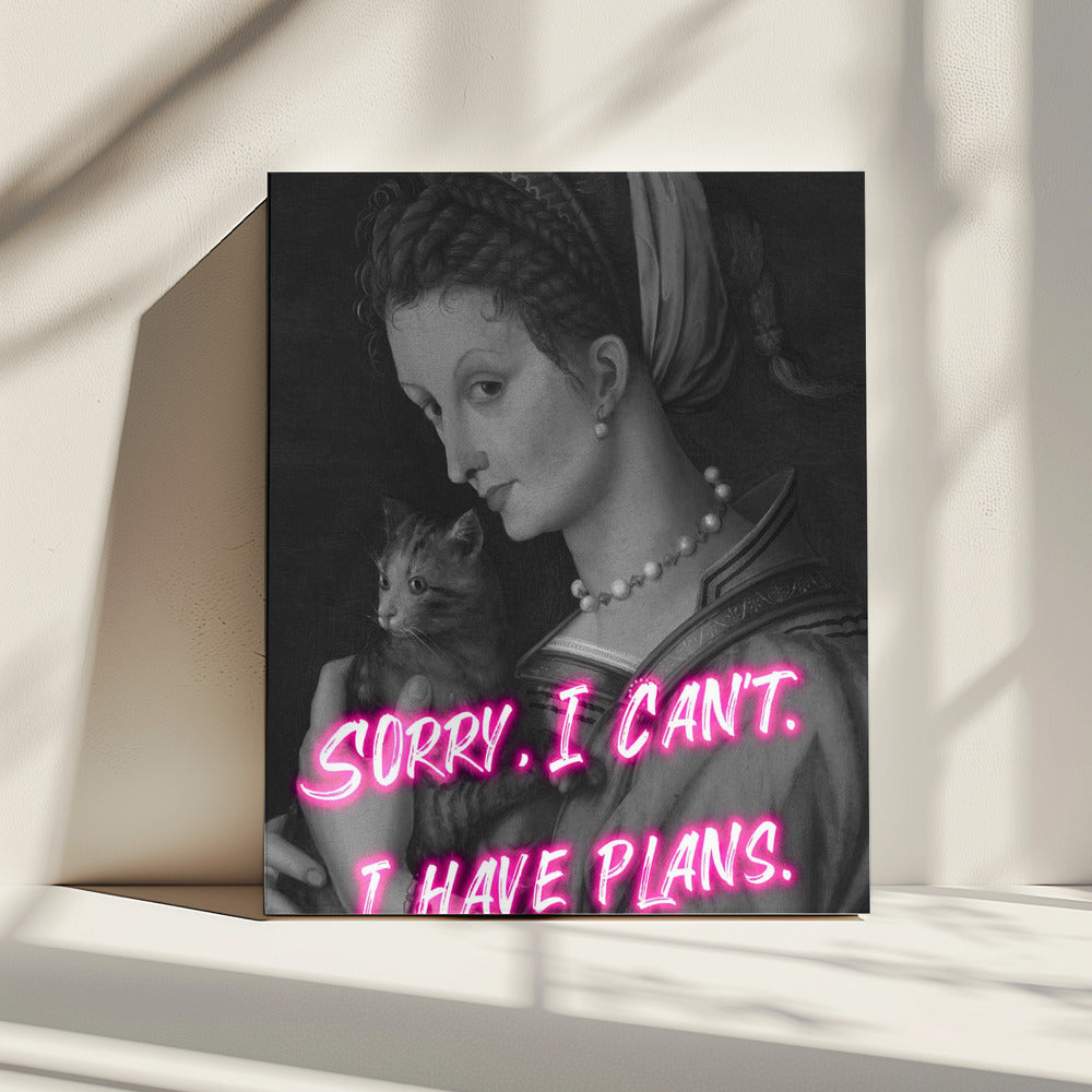 Catlady Ratio2x3 | Canvas