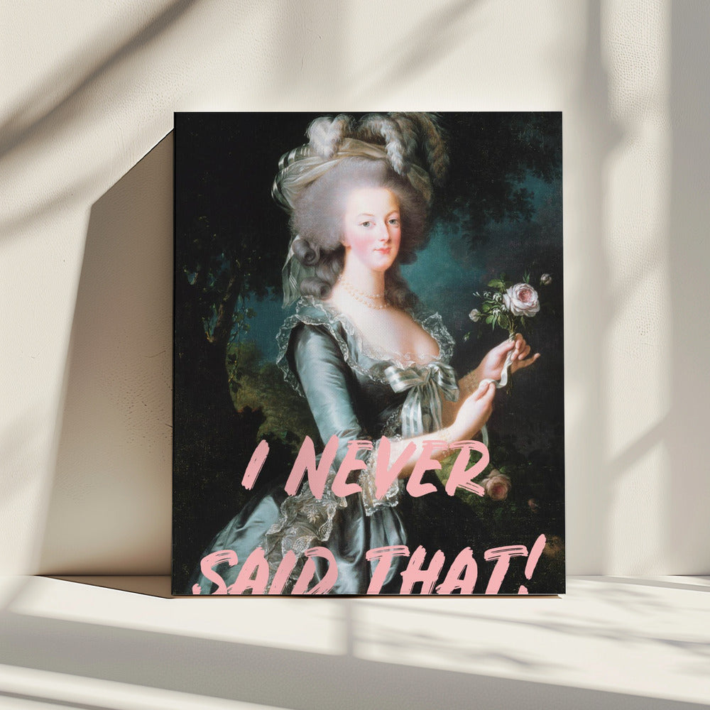 Ineversaidthat Ratio2x3 | Canvas