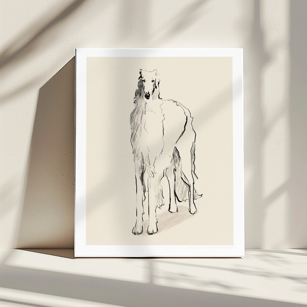 Borzoi Russian Wolfhound Pandc | Canvas