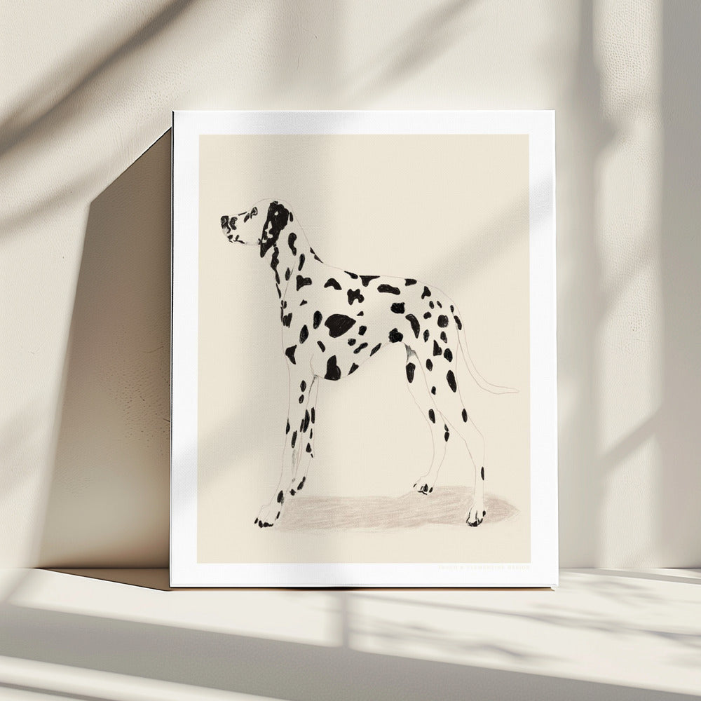Pandc Dalmation | Canvas