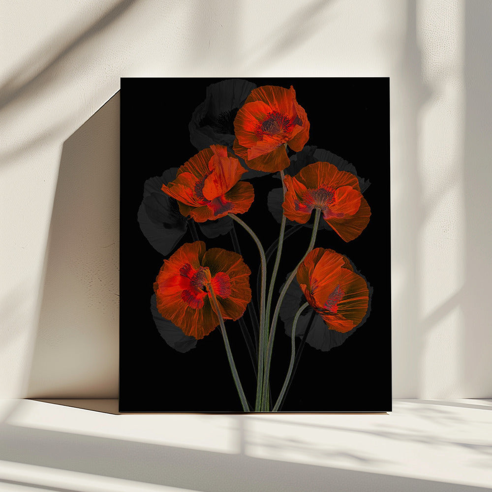 Glaceful Red Poppy | Canvas
