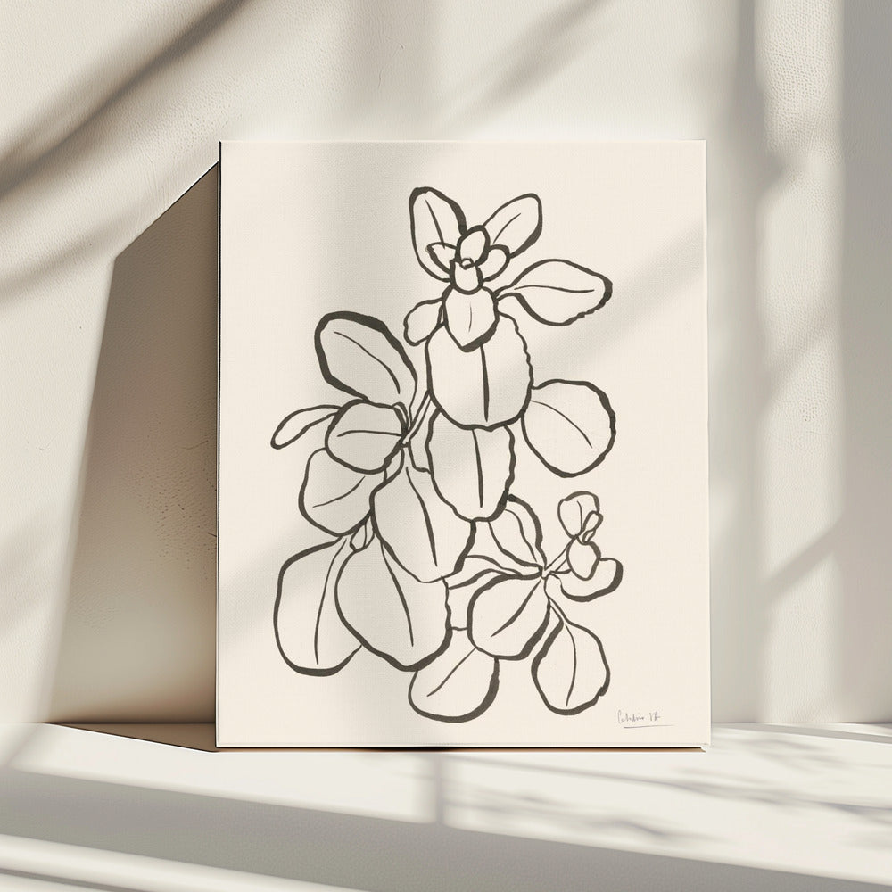 Kalanchoe Plant | Canvas