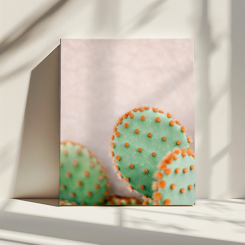 Cacti Pastel Tones | Canvas