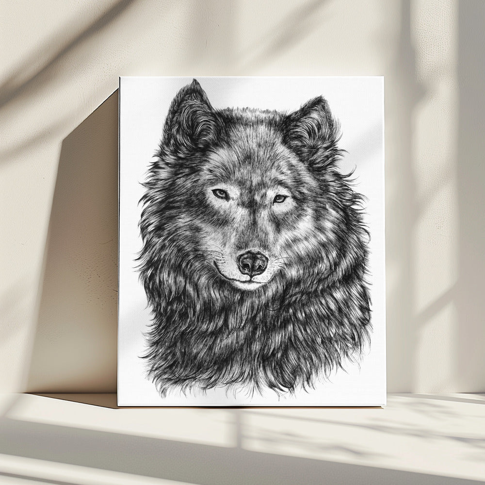 Wolf | Canvas