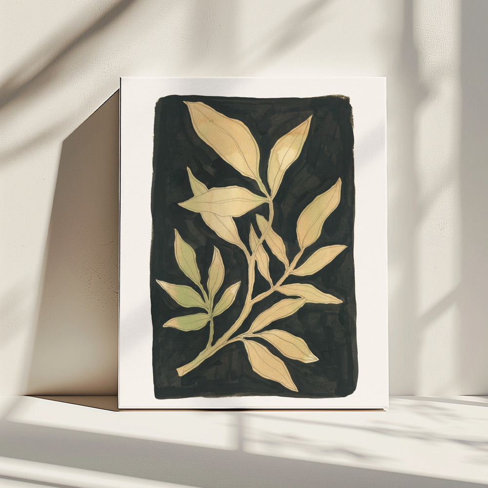 Foliage noir N.1 | Canvas