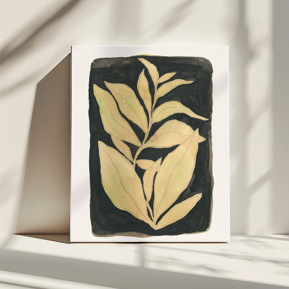 Foliage noir N.2 | Canvas