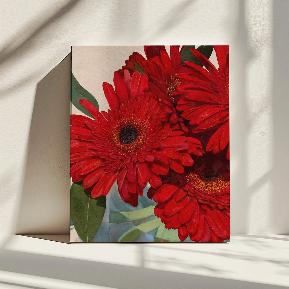 Red Gerbera Daisy Detail 3 | Canvas