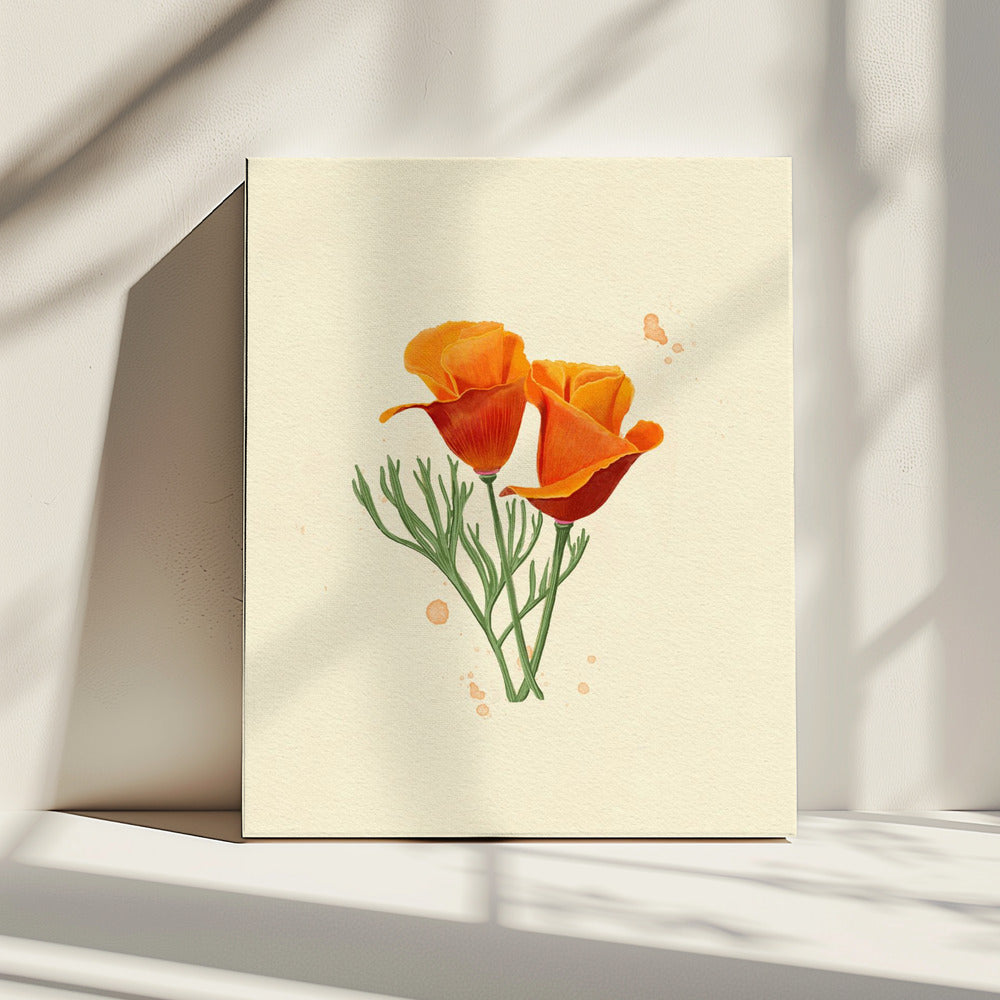 California Poppy | Canvas