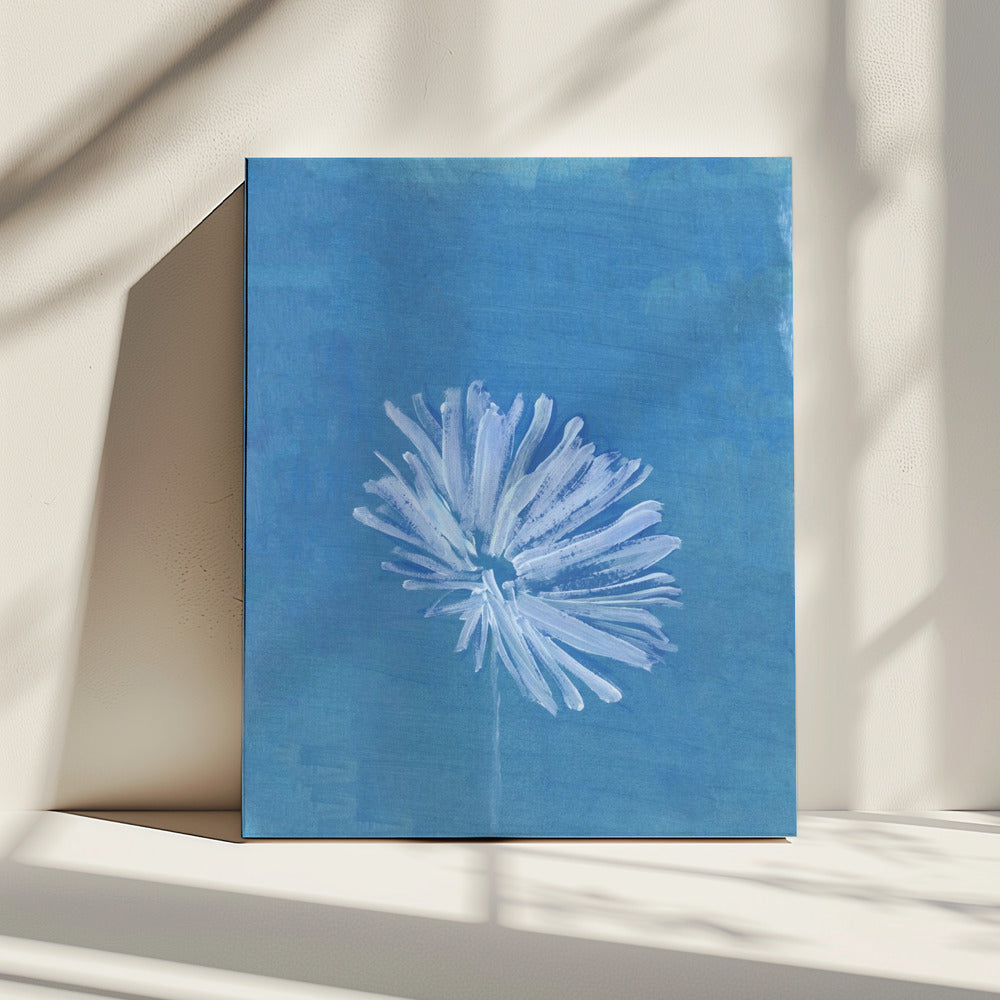 White Flower On Blue Background | Canvas