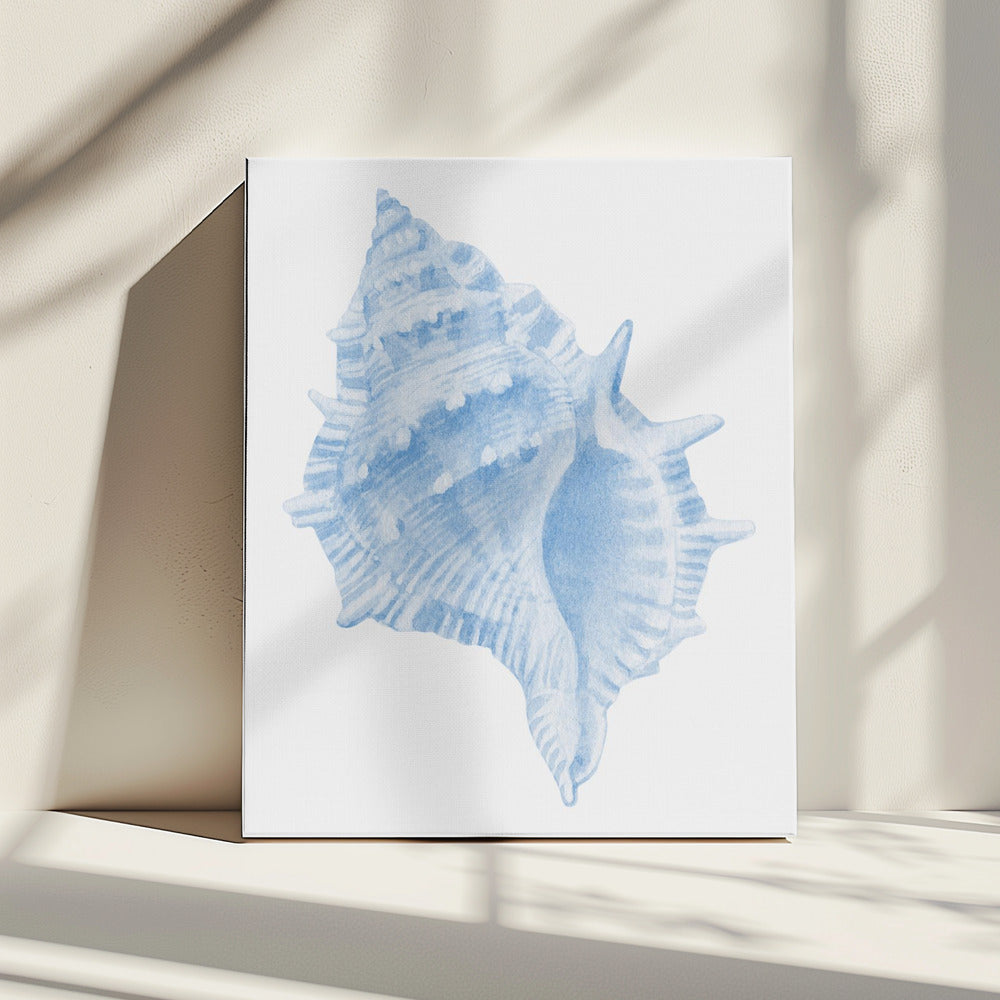 One Blue Conch | Canvas