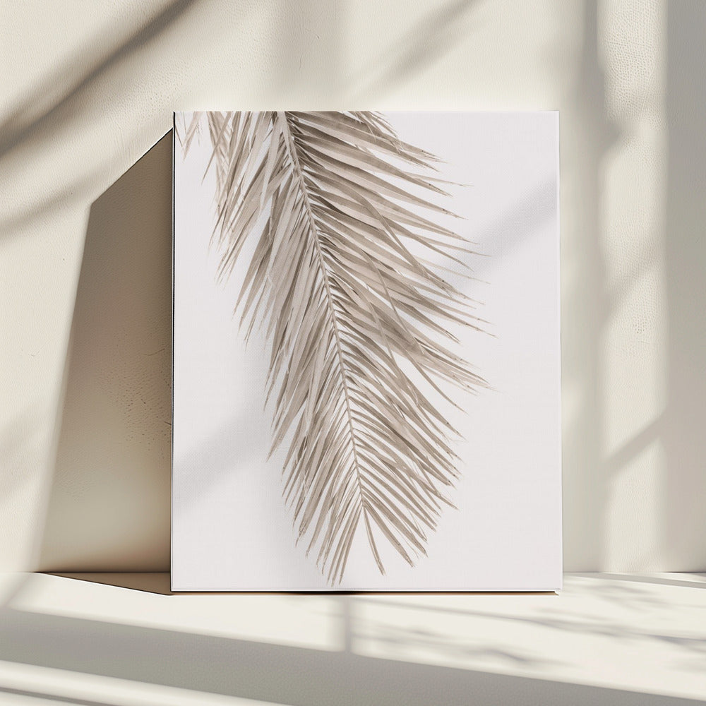 Tan Leaf 2 | Canvas