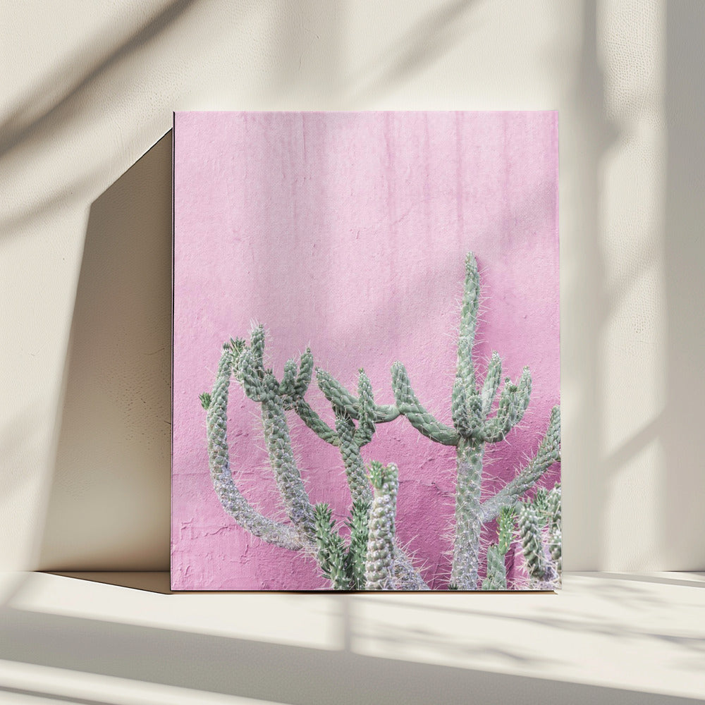 Cactus On Pink | Canvas