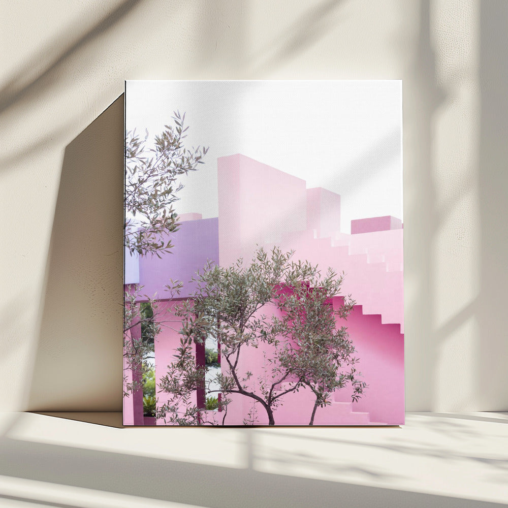 La Muralla Garden | Canvas