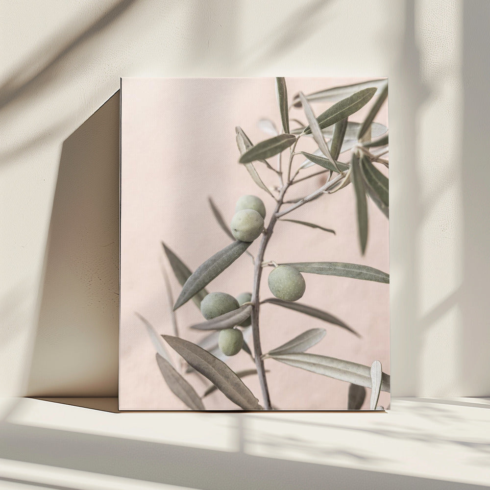 Olives | Canvas