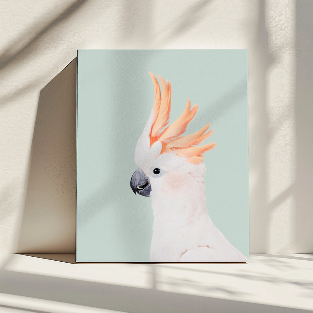 Cockatoo on Mint | Canvas