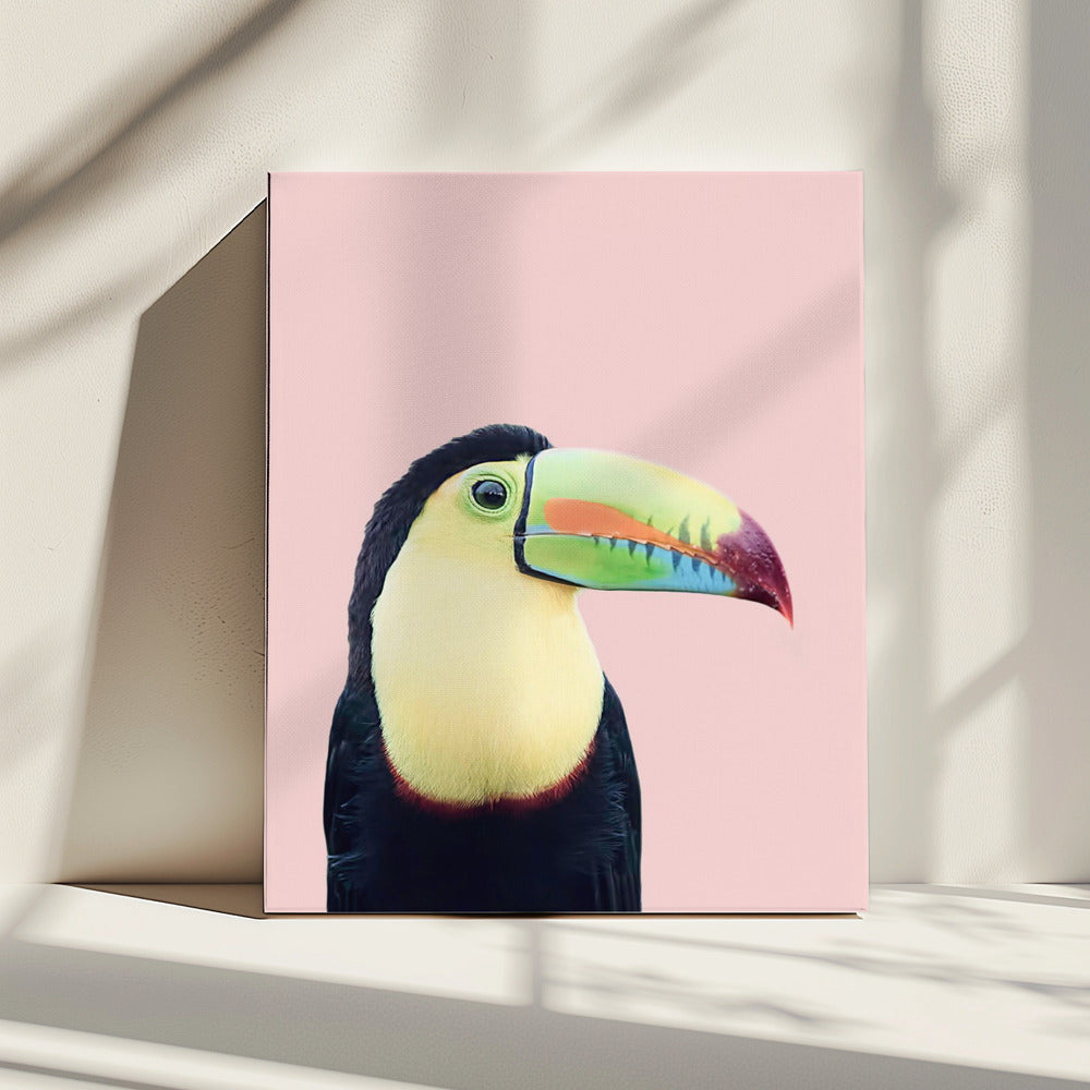 Toucan on Pink | Canvas