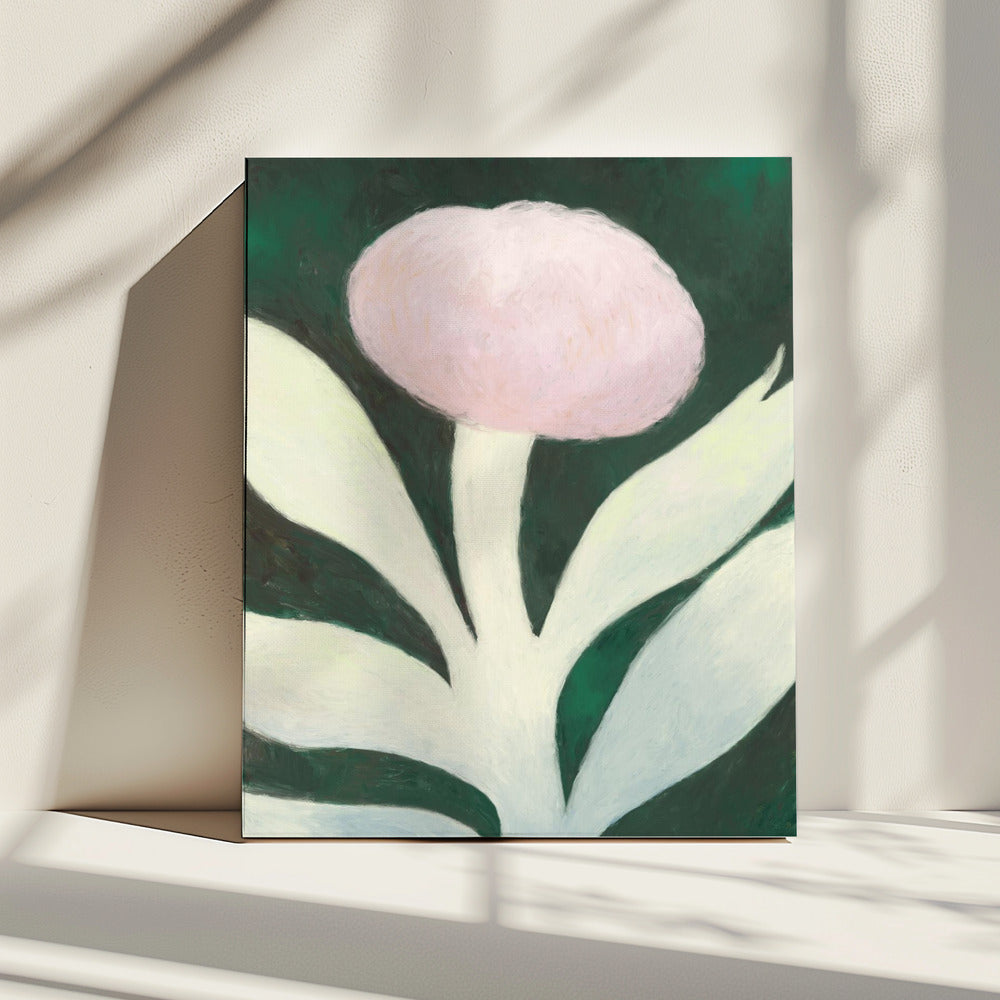 Moon flower | Canvas