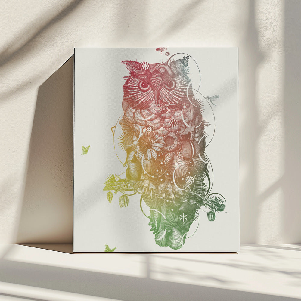 Owl | Canvas