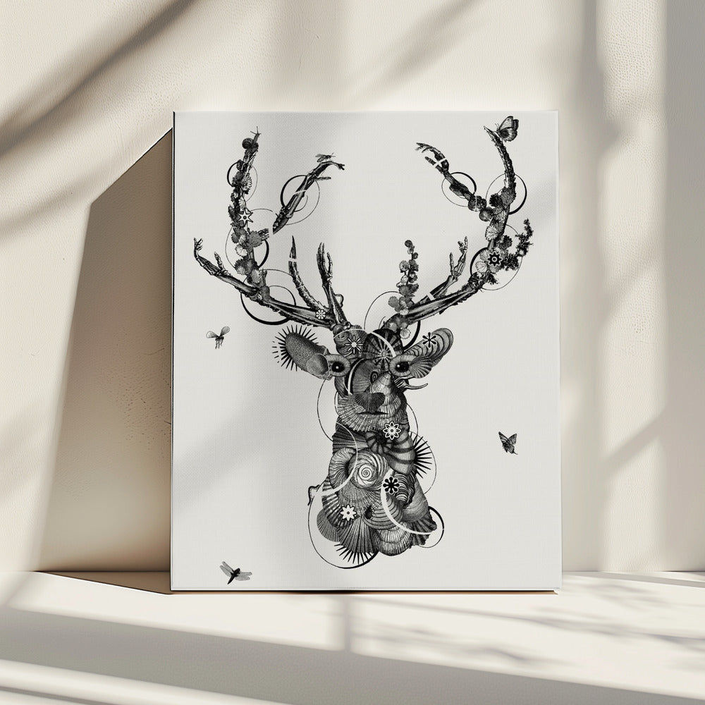 Deerhead | Canvas