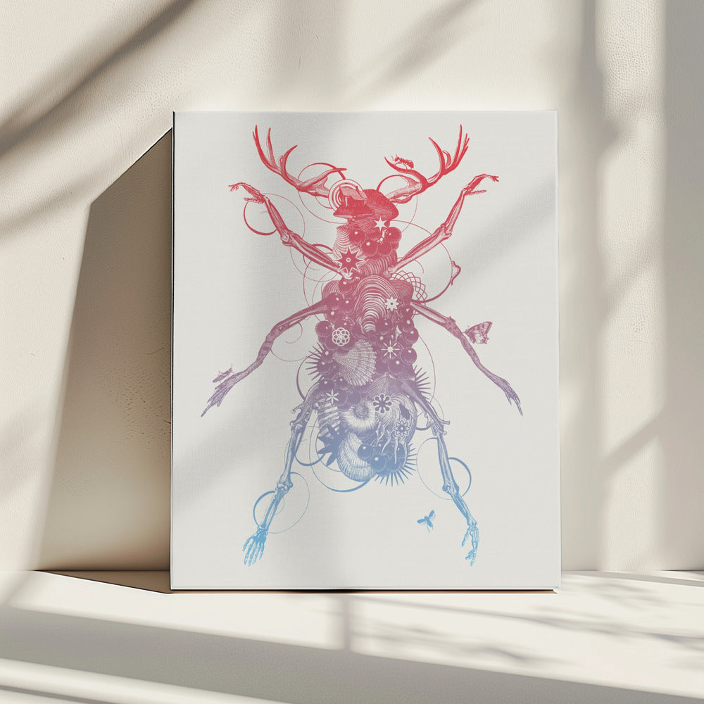Beetle 2 | Canvas