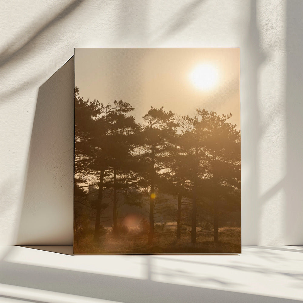 A Morning Scene 5 | Canvas