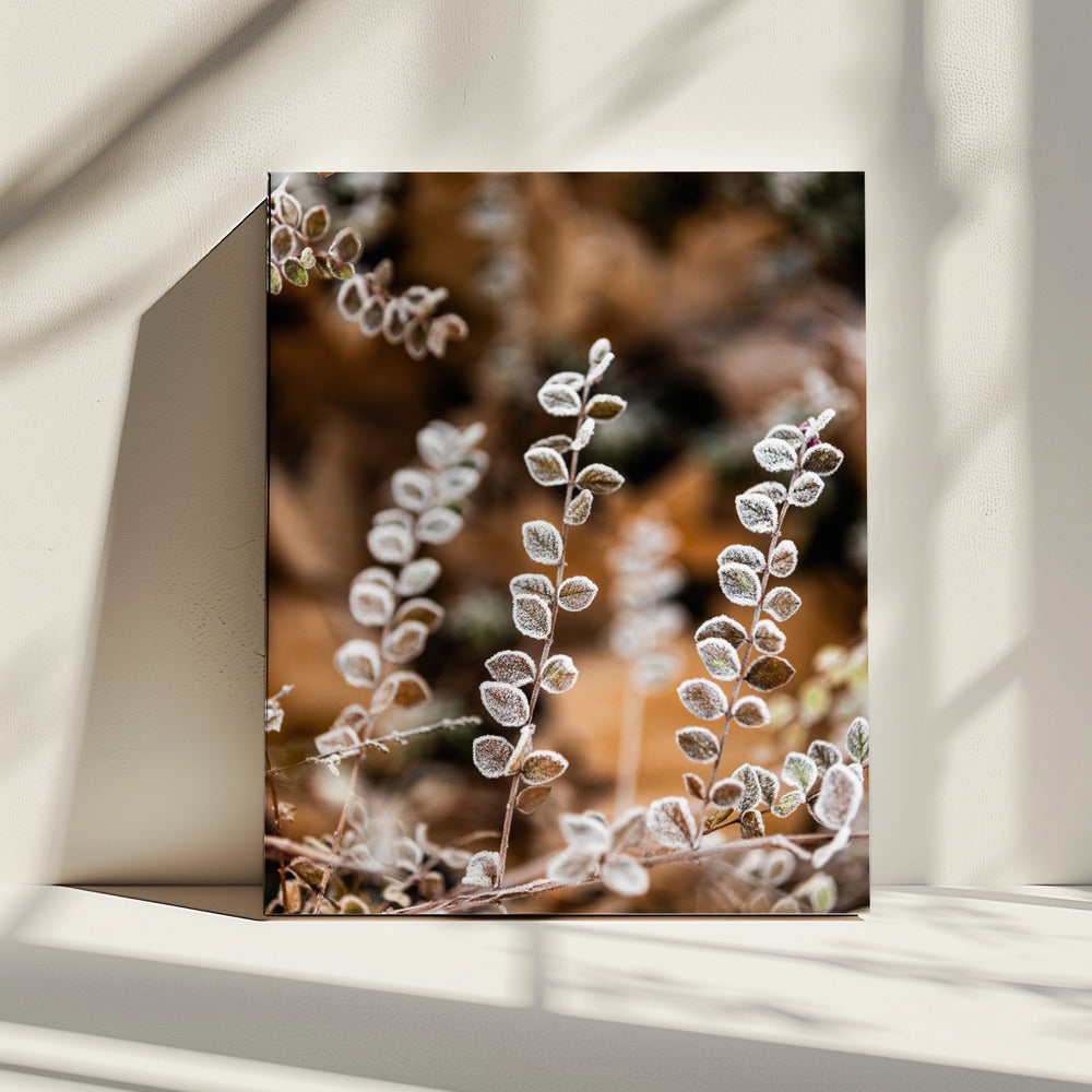 A Winter Morning 2 | Canvas