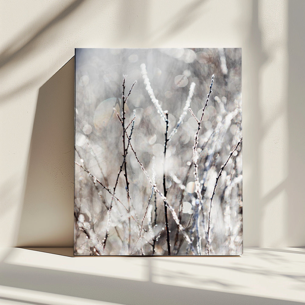 A Winter Morning 4 | Canvas