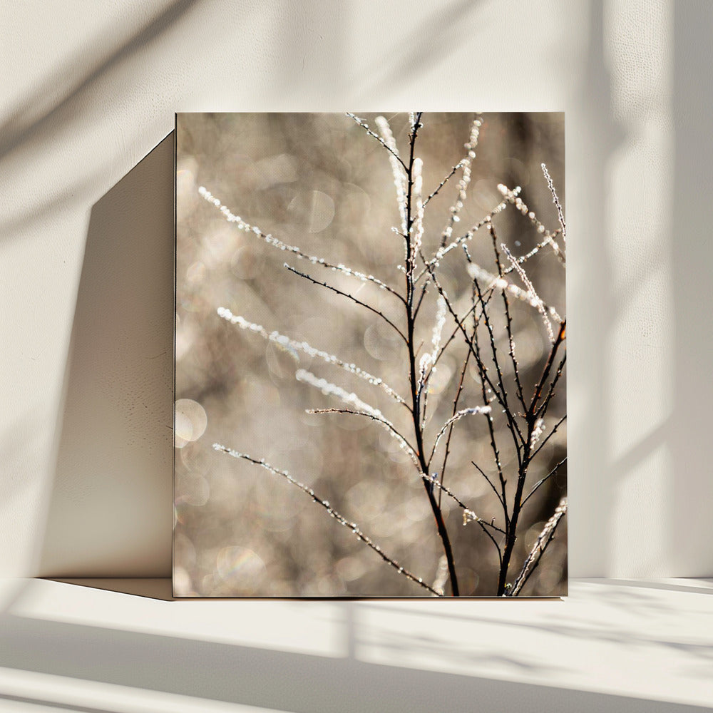 A Winter Morning 5 | Canvas