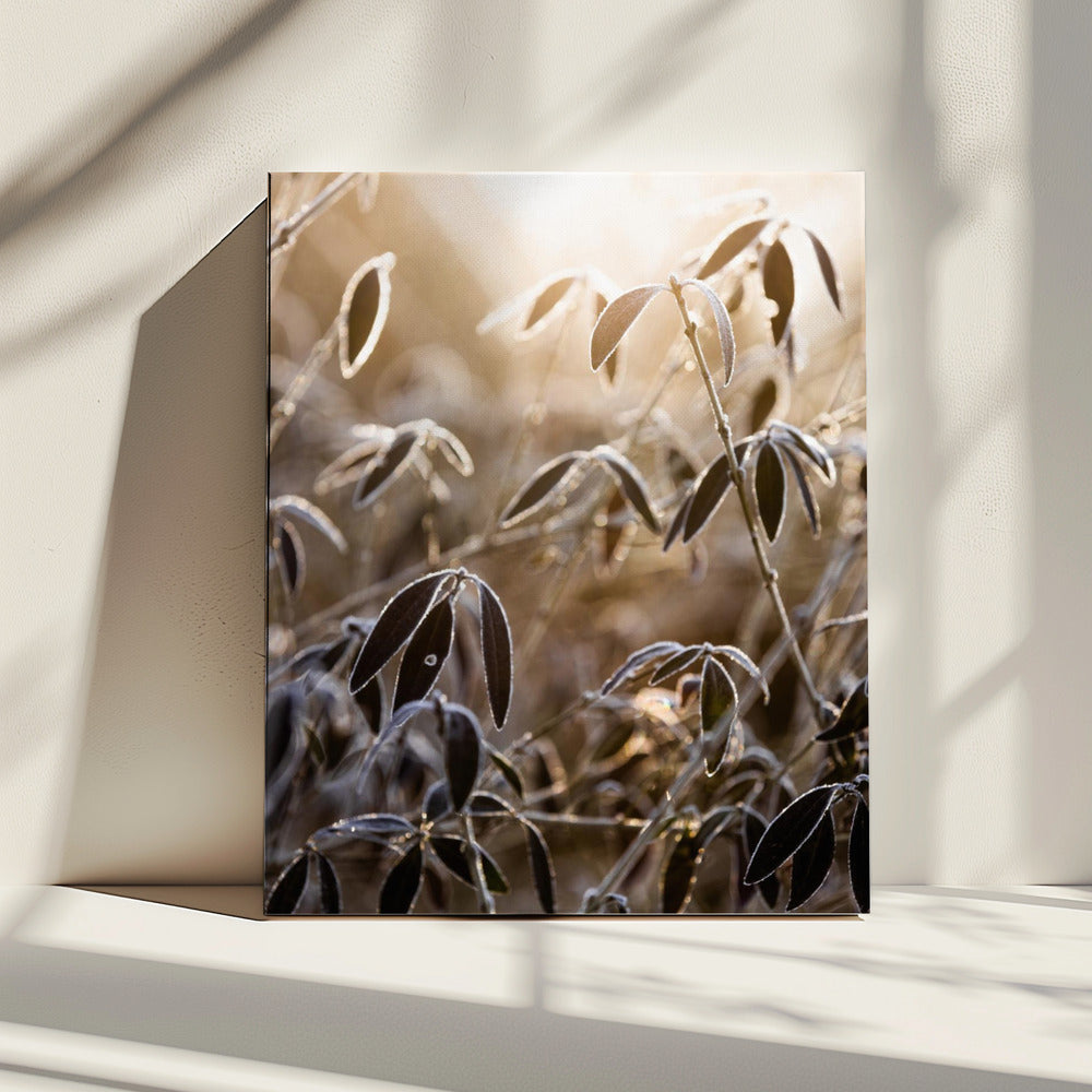 A Winter Morning 6 | Canvas