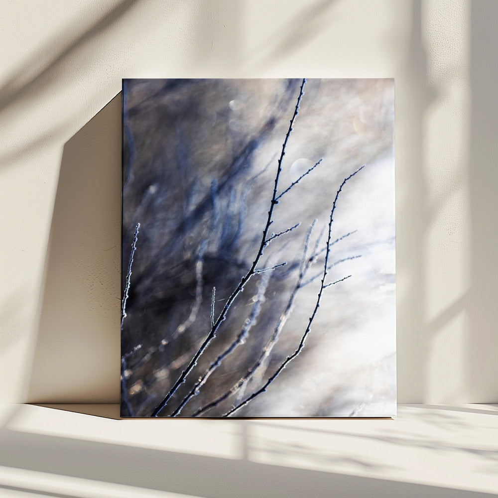 A Winter Morning 7 018a4832 | Canvas